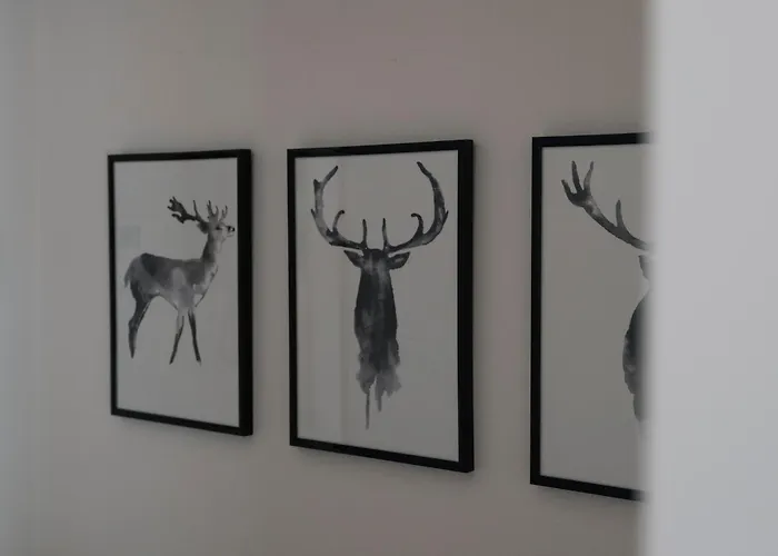 Residenza Borgo Vivaldi Self Check In